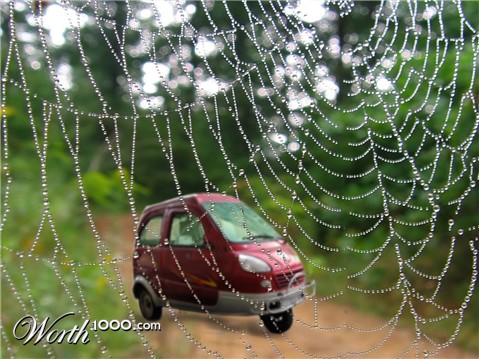 Photoshop Design by Biddee