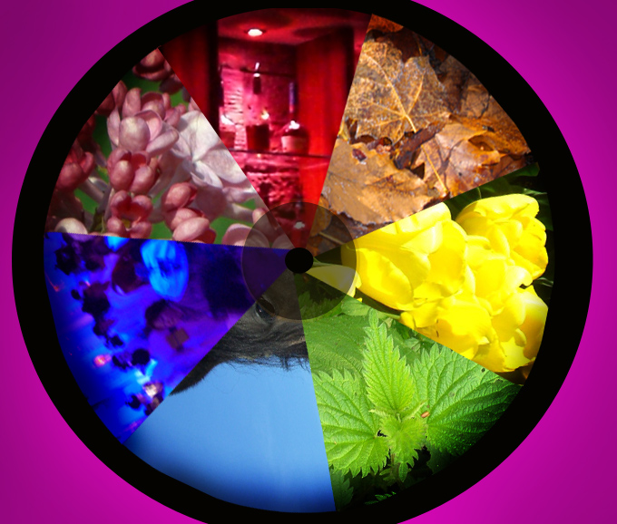 Photography by redcats for DesignCrowd (Community Contests) | Design #8976487