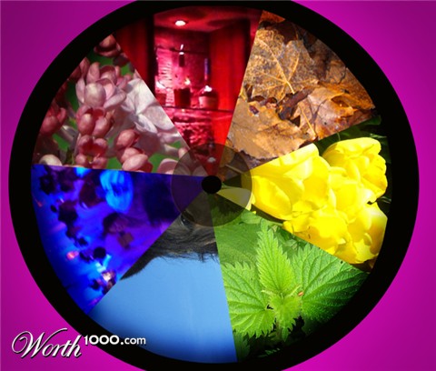 Photography by redcats