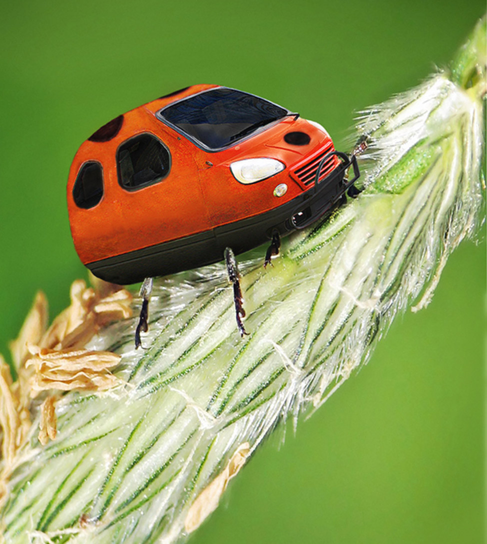 Diseño de Photoshop por fanucci para DesignCrowd (Community Contests) | Diseño #8978180