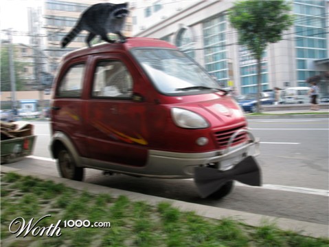 Photoshop Design by DrRobot