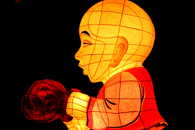 Photography by Qofcheez for DesignCrowd (Community Contests) | Design #8977664