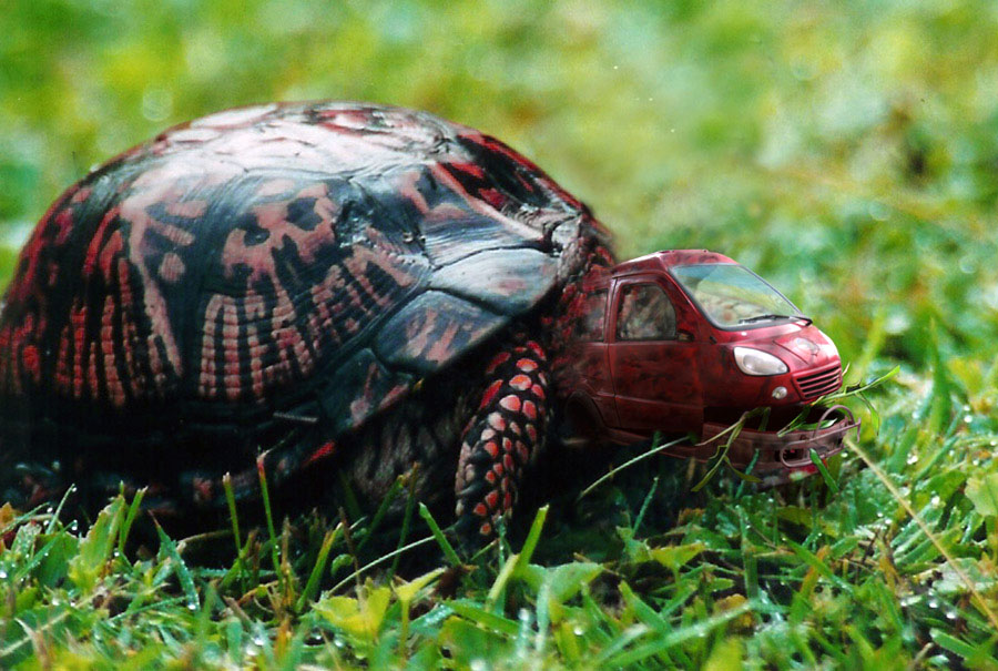 Photoshop Design by Mushon for DesignCrowd (Community Contests) | Design #8978199