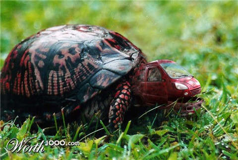 Photoshop Design by Mushon