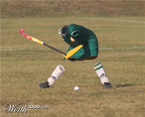 Photography by baberuthmd