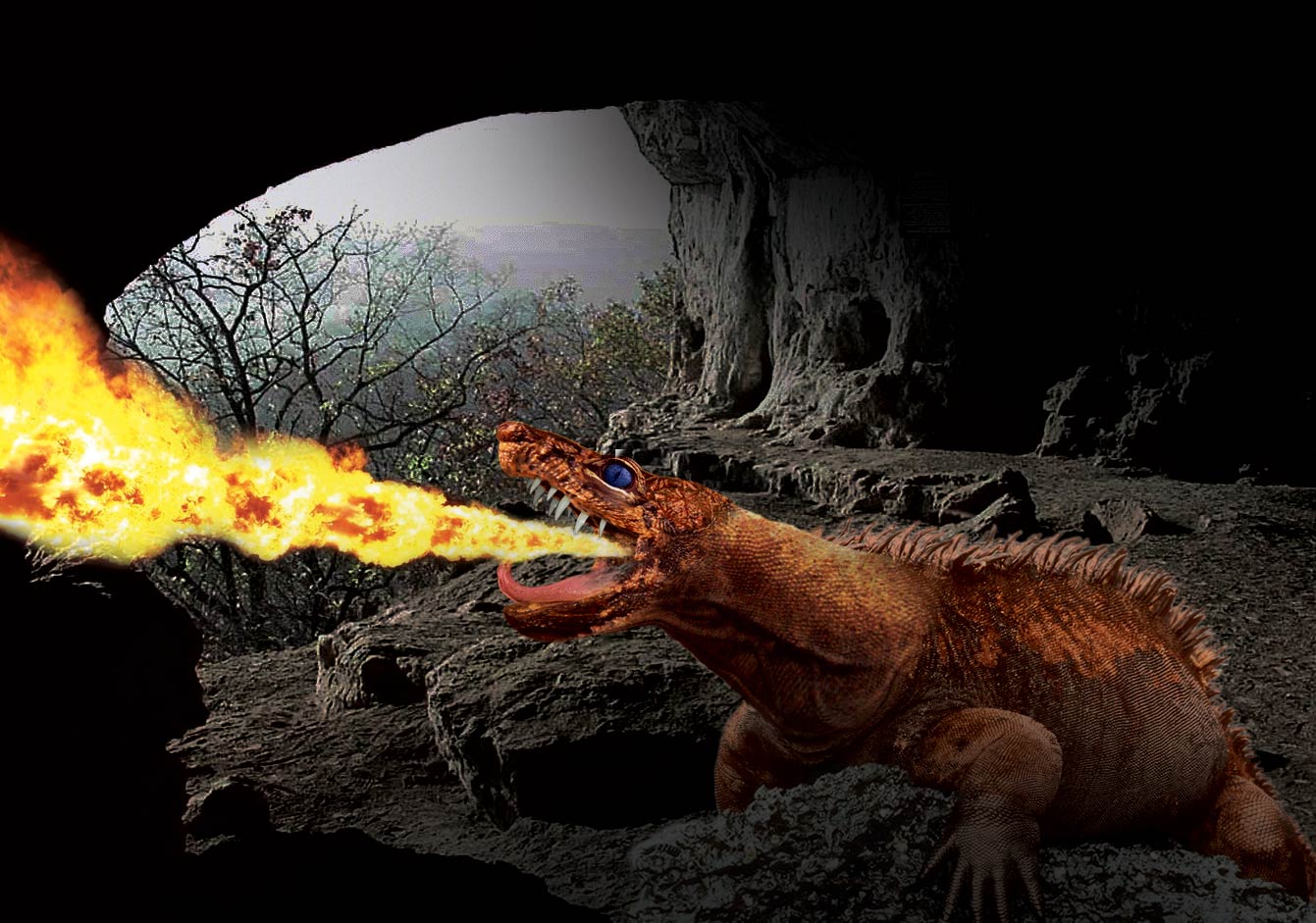 Photoshop-Design von savagejon123 für DesignCrowd (Community Contests) | Design #8981599