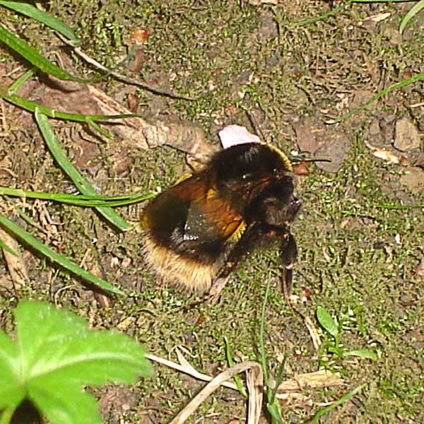 Photography by Methok for DesignCrowd (Community Contests) | Design #8977974