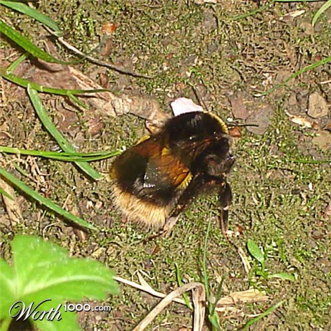 Photography by Methok