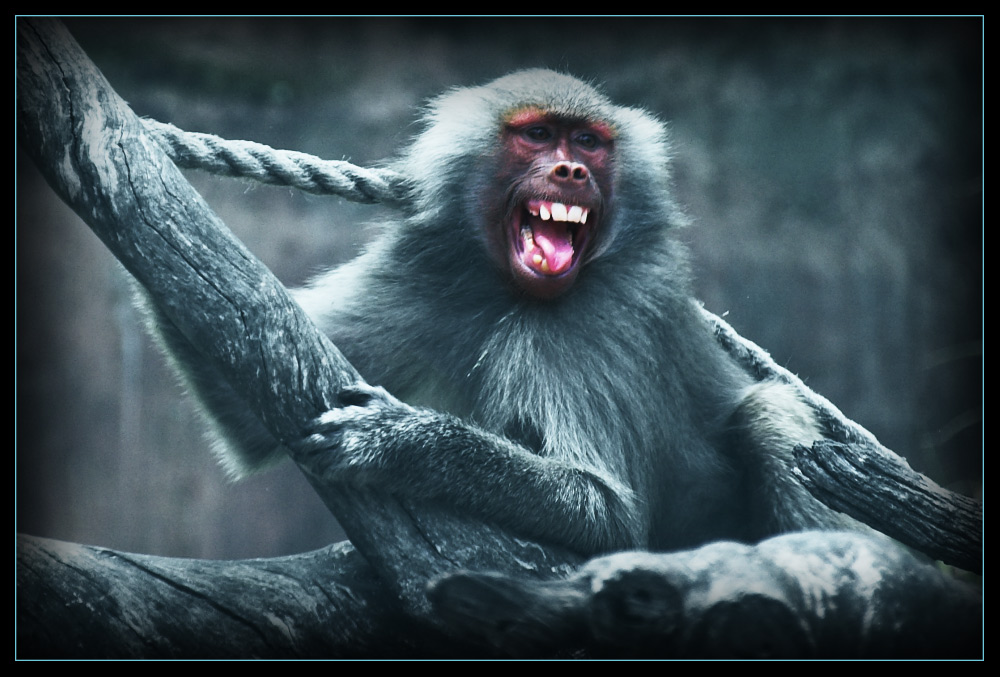 Fotografie von kimbomac für DesignCrowd (Community Contests) | Design #8976367