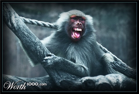 Photography by kimbomac