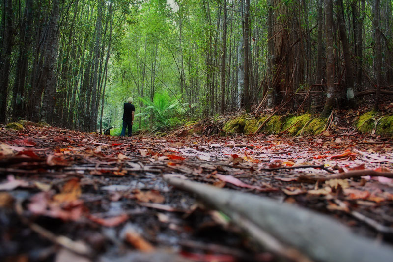 Fotografía por Awyrdo para DesignCrowd (Community Contests) | Diseño #8977992