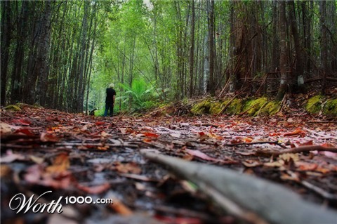 Photography by Awyrdo