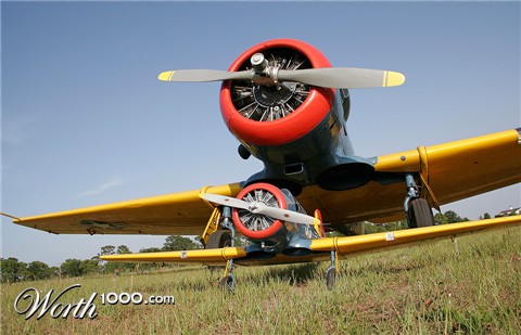 Photography by pinkfly