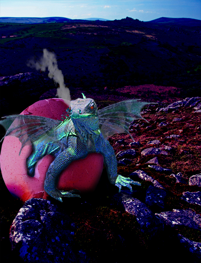 Photoshop Design by lucimine for DesignCrowd (Community Contests) | Design #8981671