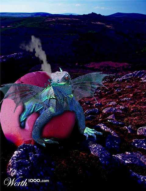 Photoshop Design by lucimine