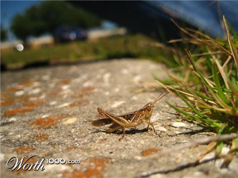 Photography by hollistereagle8