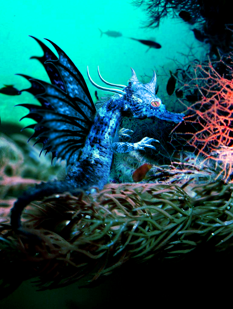 Design Photoshop par maxMESA pour DesignCrowd (Community Contests) | Design #8981680