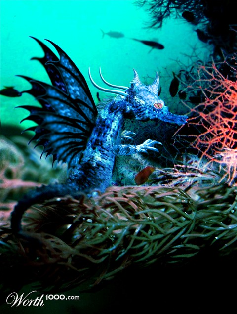 Photoshop Design by maxMESA