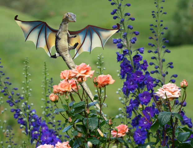 Design Photoshop par northman pour DesignCrowd (Community Contests) | Design #8981623