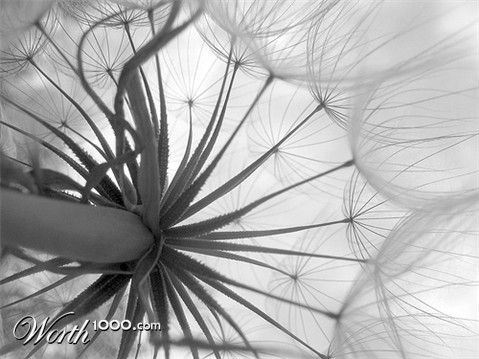 Photography by MissMea