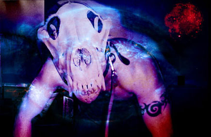 Photoshop Design by tigiris84 for DesignCrowd (Community Contests) | Design #8981689