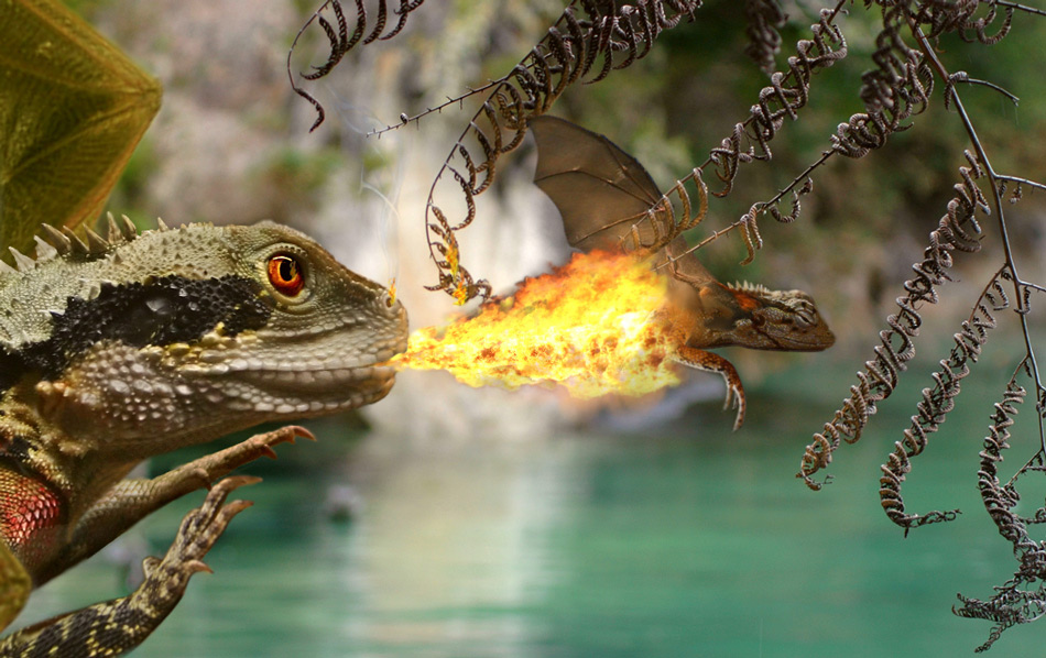 Photoshop Design by John93036 for DesignCrowd (Community Contests) | Design #8981638