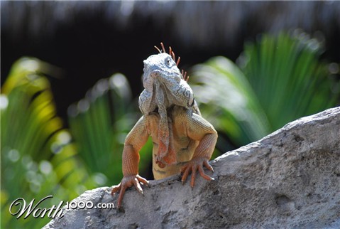 Photography by jeniffermarie