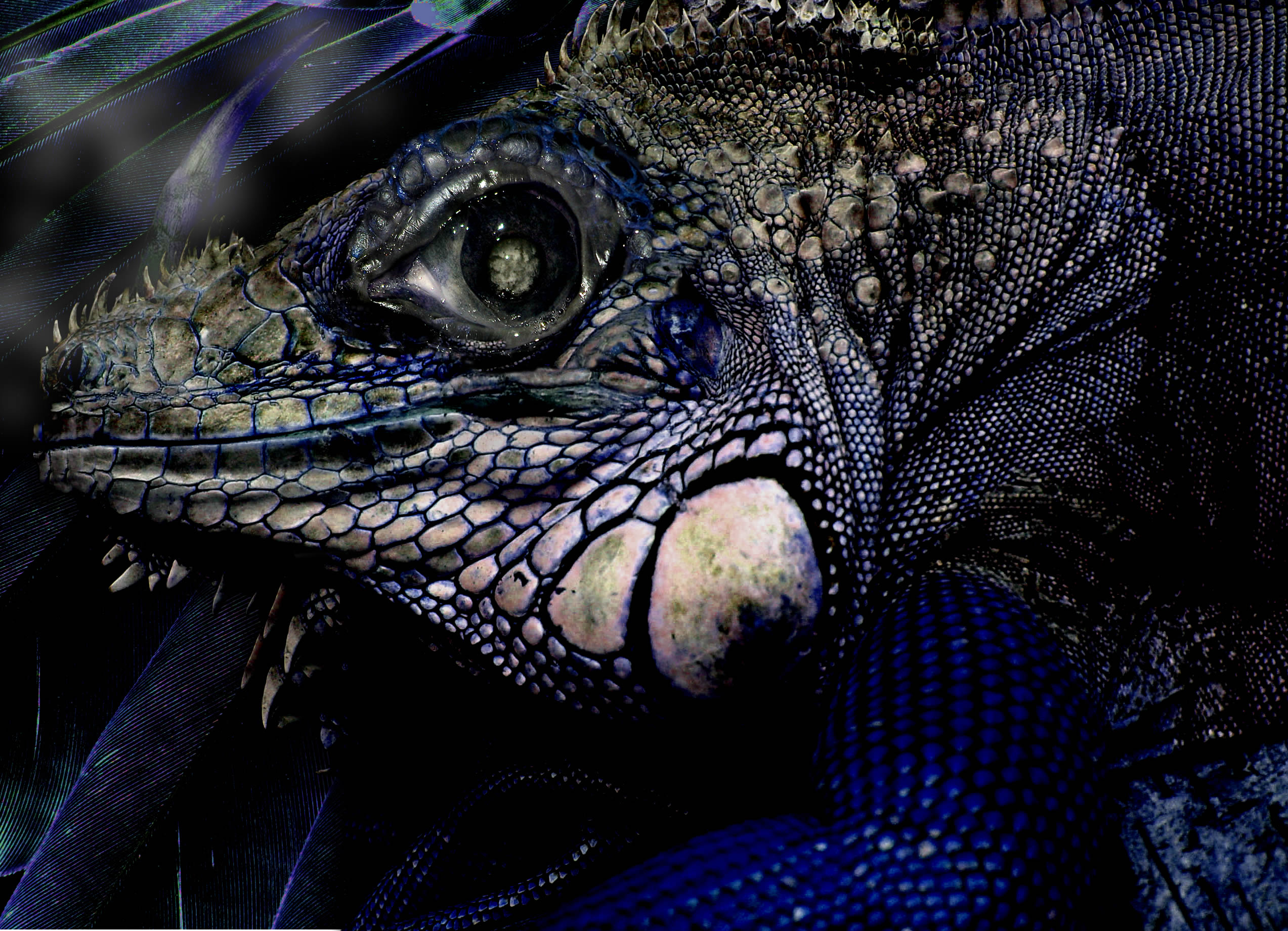 Diseño de Photoshop por Swaggers para DesignCrowd (Community Contests) | Diseño #8981702