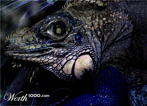 Photoshop Design by Swaggers