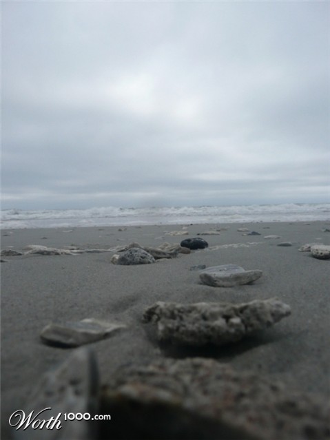 Photography by youngwhit