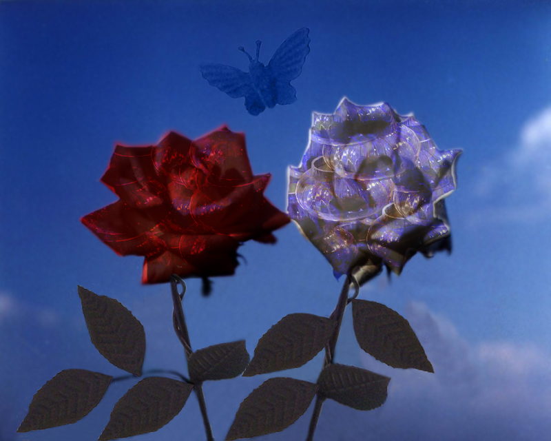 Design Photoshop par WildChildBaby pour DesignCrowd (Community Contests) | Design #8977576