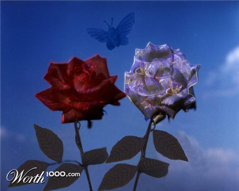 Photoshop Design by WildChildBaby