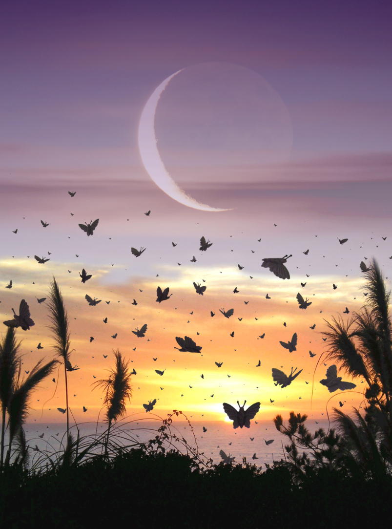 Photoshop Design by MeRamey for DesignCrowd (Community Contests) | Design #8977603