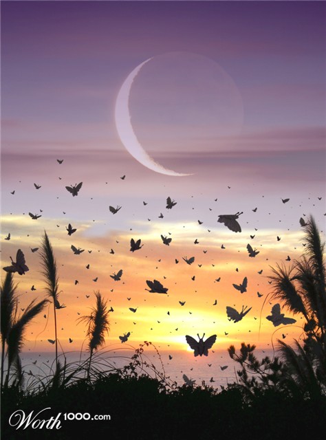 Photoshop Design by MeRamey