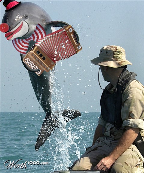 Photoshop Design by bicyclewilli