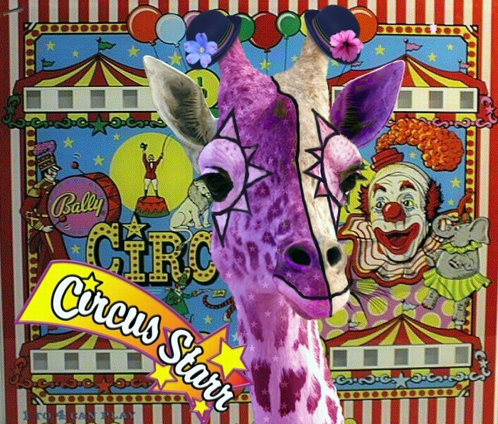 Photoshop Design by LadyHawk771 for DesignCrowd (Community Contests) | Design #8977886