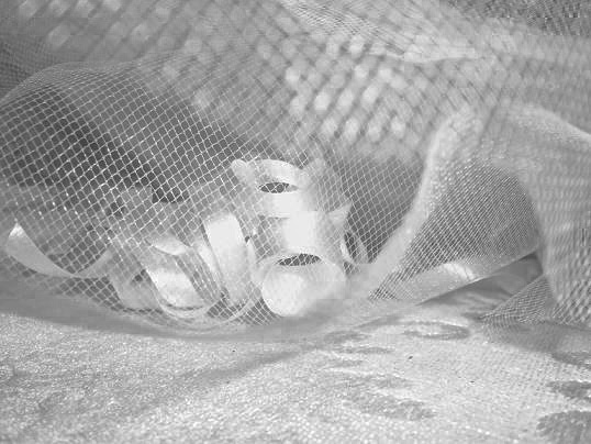 Photography by bestpicturesever for DesignCrowd (Community Contests) | Design #8978073