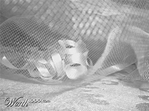 Photography by bestpicturesever