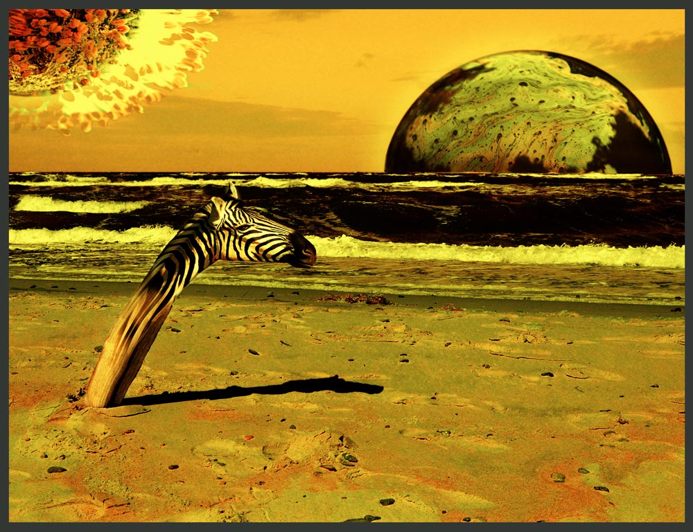 Fotografía por Roel1969 para DesignCrowd (Community Contests) | Diseño #8979172