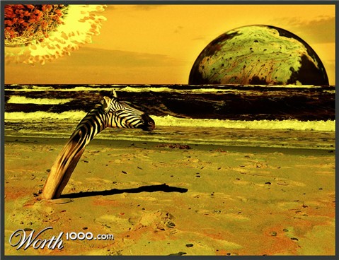 Photography by Roel1969