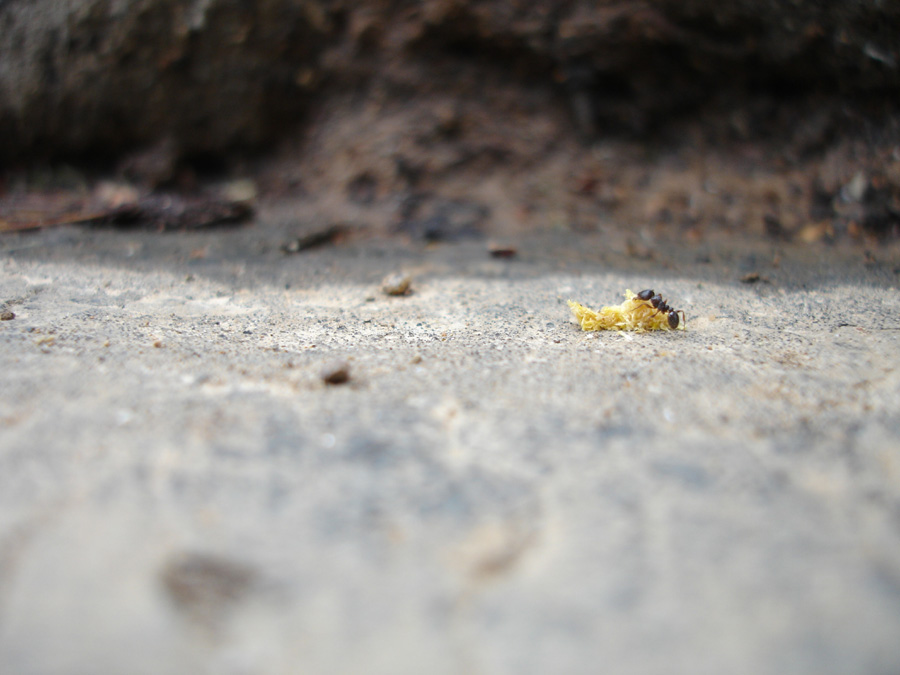 Photography by Lefacade for DesignCrowd (Community Contests) | Design #8978179