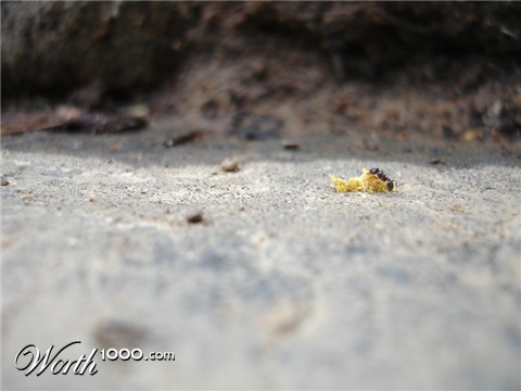 Photography by Lefacade