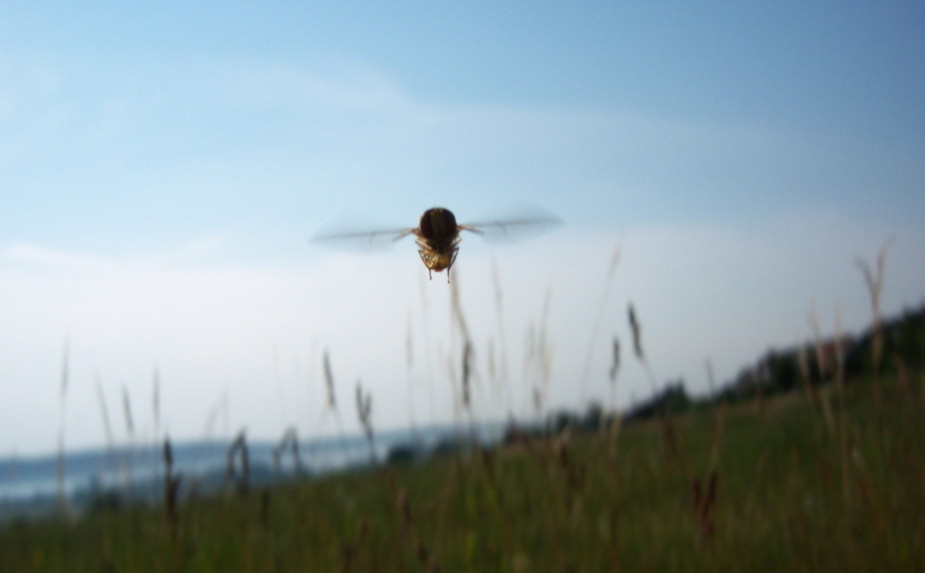 Photography by dogpark for DesignCrowd (Community Contests) | Design #8978244