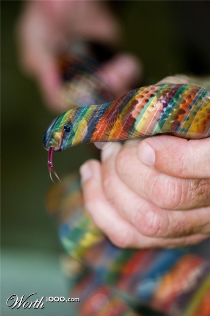 Photoshop Design by ConnieB