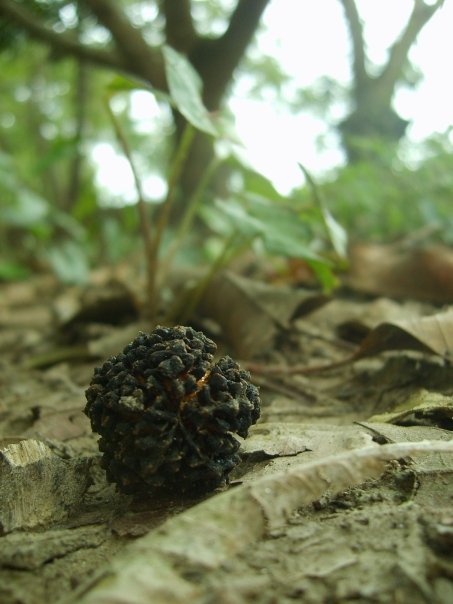 Fotografía por Eirita para DesignCrowd (Community Contests) | Diseño #8978247