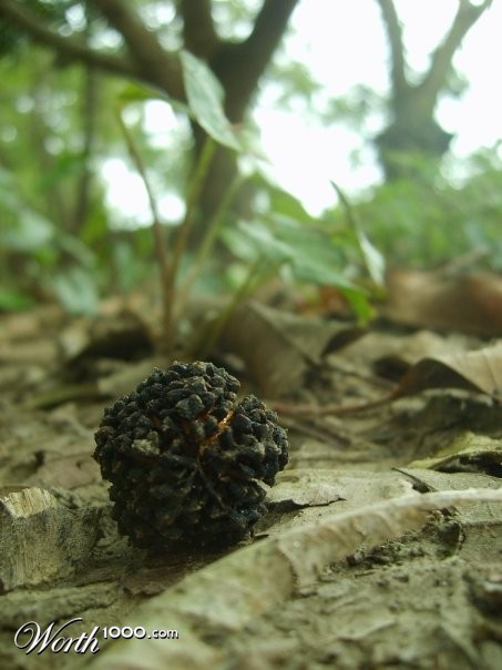 Photography by Eirita