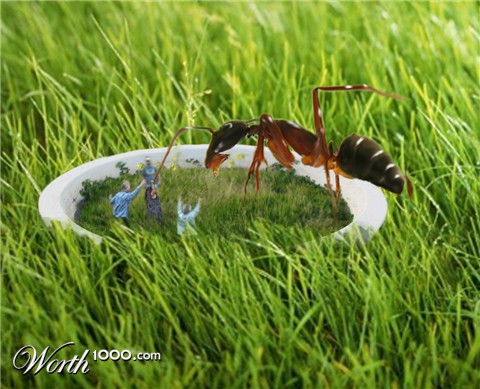 Photoshop Design by Karcasstic