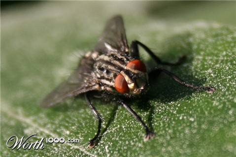 Photography by Granneman