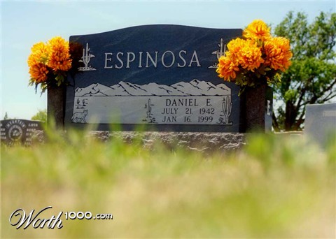 Photography by thravens