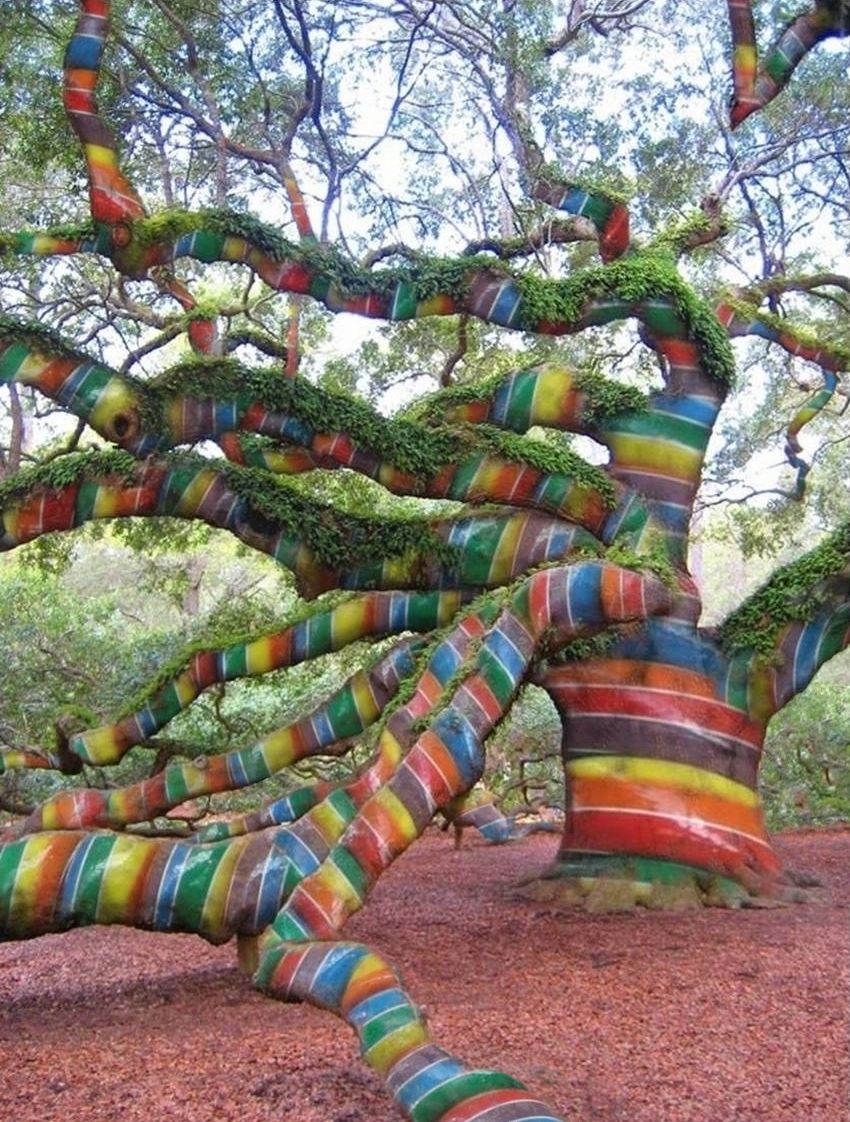 Diseño de Photoshop por timothyansell para DesignCrowd (Community Contests) | Diseño #8982148